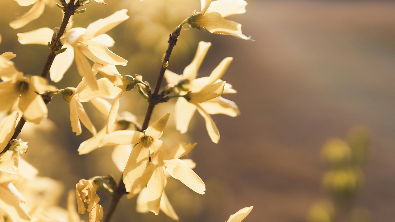 《平凡中的旺盛》（图ZMzA5ODI4Mzg0） - 环境/建筑摄影 - 站酷设计师BrianLu_Photo原创素材 - 站酷ZCOOL