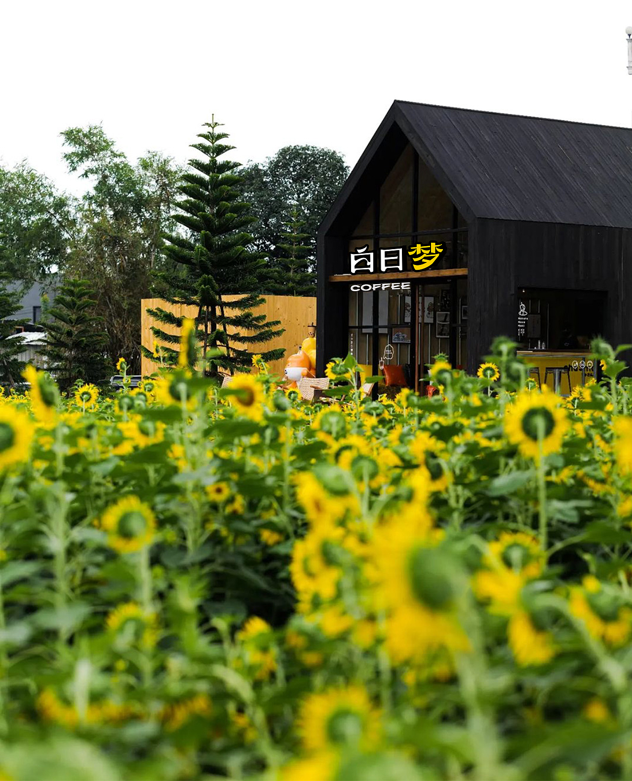 白日梦咖啡品牌设计｜城市摆烂计划（图ZMzUzODgzNjMy） - 品牌 - 站酷设计师寇寇的kou原创素材 - 站酷ZCOOL