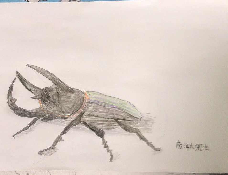 南阳大兜虫（图ZMjk4Nzg5ODUy） - 艺术插画 - 站酷设计师红枫秋华原创素材 - 站酷ZCOOL