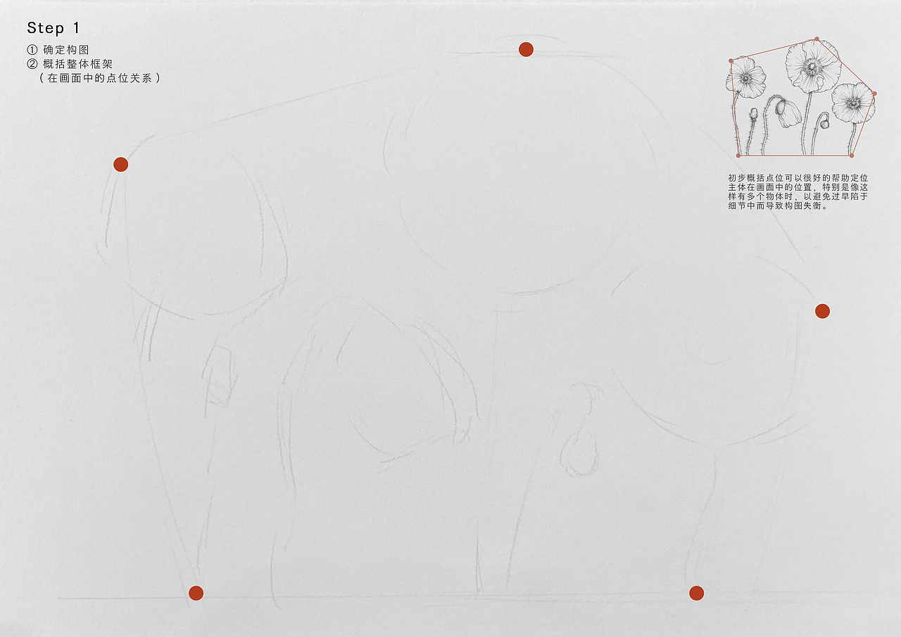 花卉线稿教程分享｜虞美人（图ZMzQ0Mjk1MTY0） - 创作习作 - 站酷设计师不只1Cc原创素材 - 站酷ZCOOL