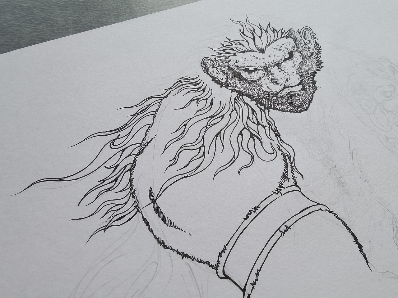 2024.04.27毣柞山海-北山经-边春山-幽鴳