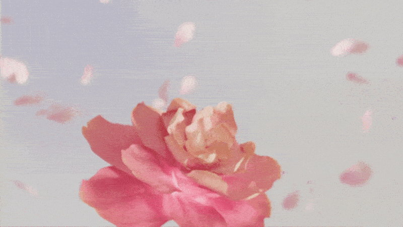 花_个人三维动态设计练习作品（图ZMzMxMTEwNjYw） - Motion Graphic - 站酷设计师七条命原创素材 - 站酷ZCOOL