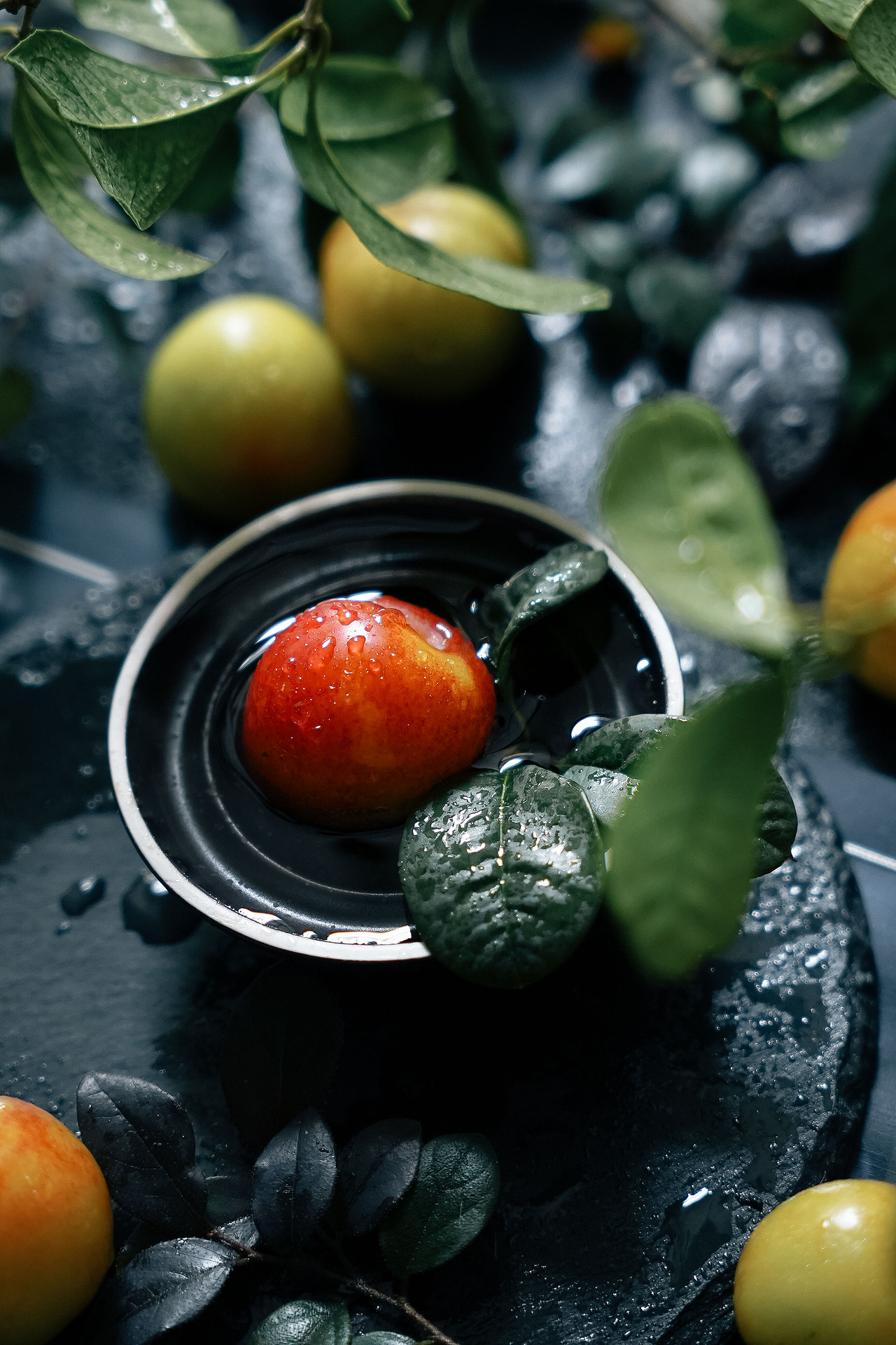 小邀难逾.色润房陵缥