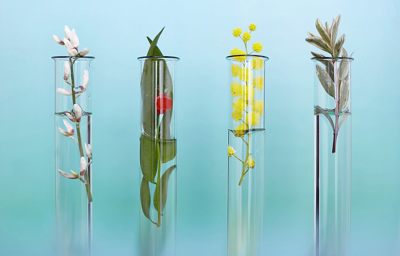 护肤品产品包装和VI设计|C.LAVIE|法国设计（图ZMzAyOTAyMDIw） - 包装 - 站酷设计师LiLiIoveFR原创素材 - 站酷ZCOOL