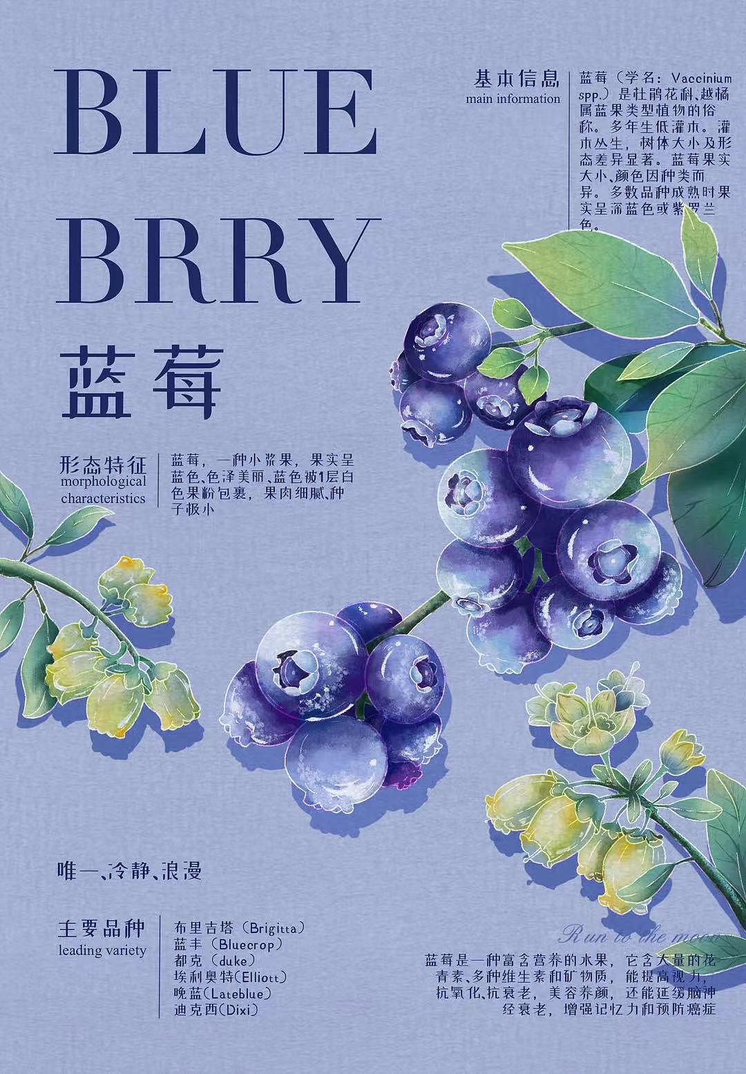 植物海报（图ZMzE3OTIwMDEy） - 海报 - 站酷设计师蓝朱砂原创素材 - 站酷ZCOOL