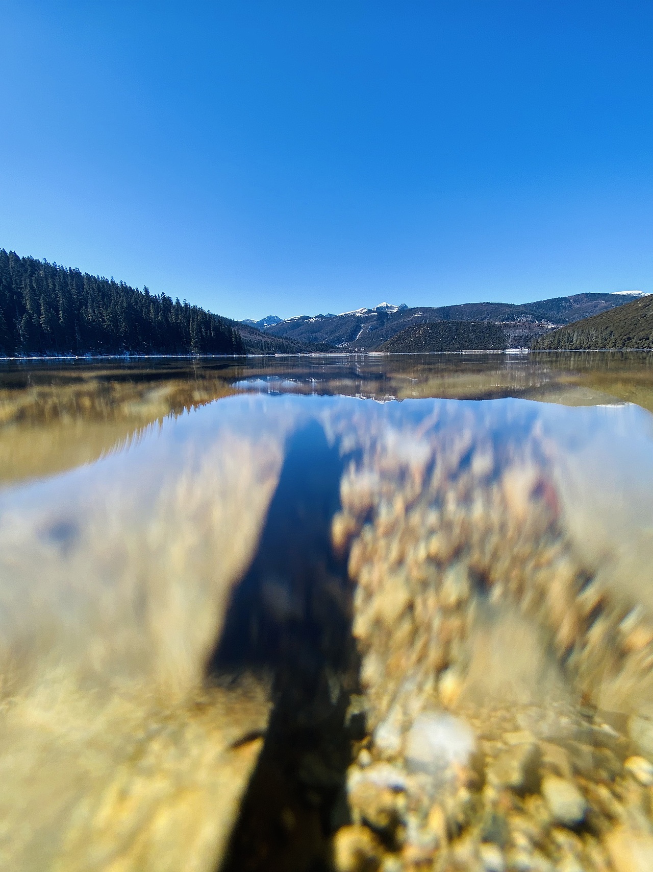 图多下饭看,香格里拉一日游