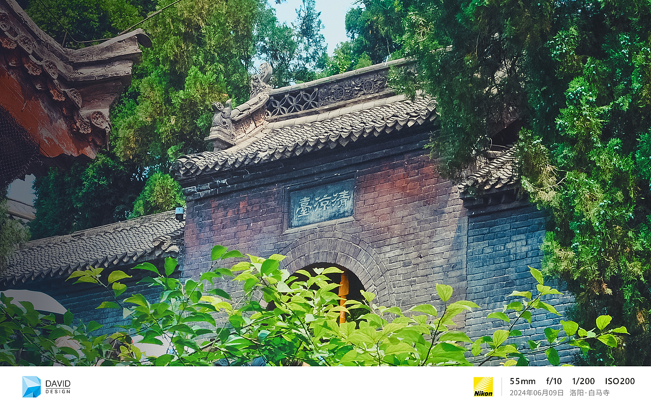 端午之旅,东都洛阳