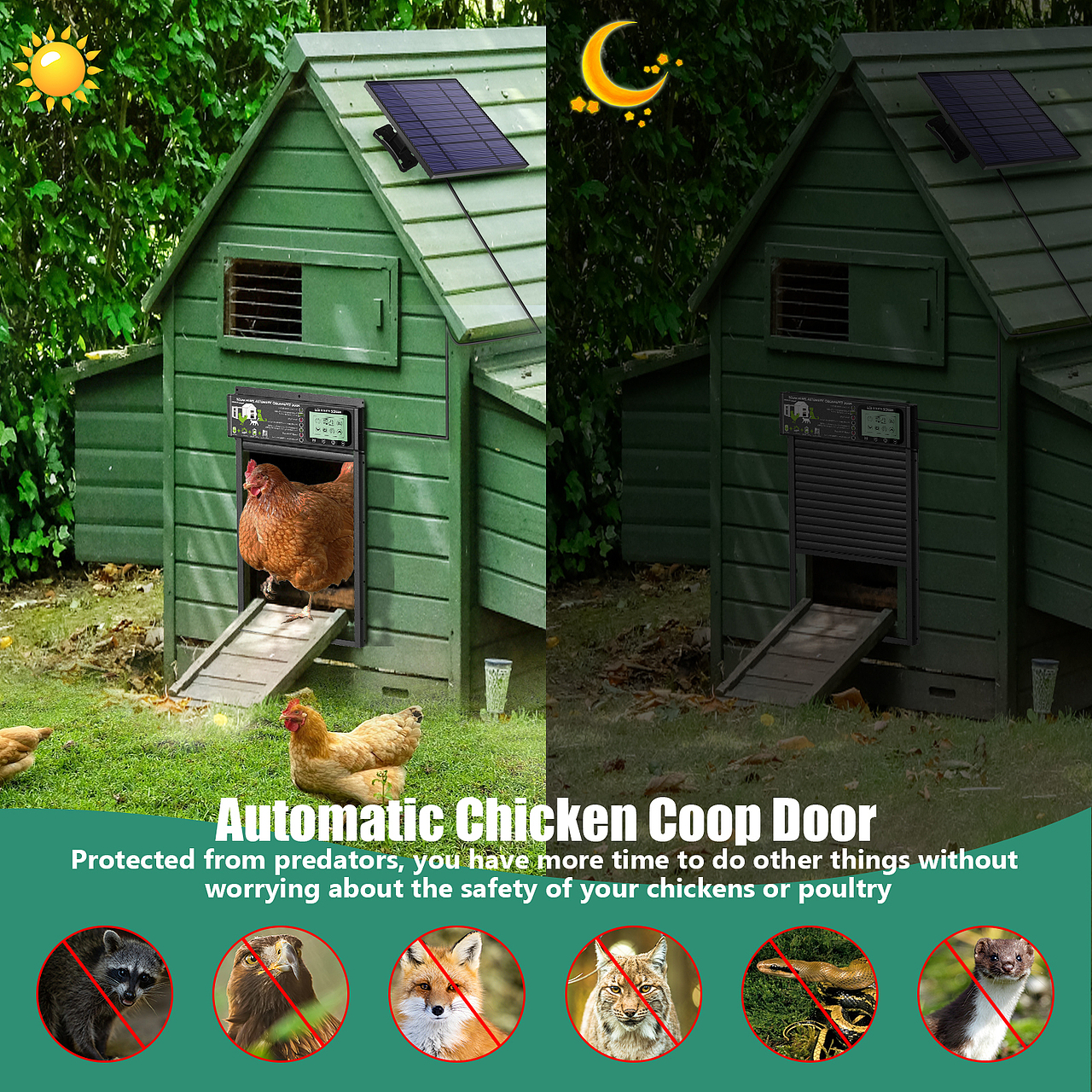 亚马逊鸡舍门（图ZMzY2MDE2MDgw） - 海报 - 站酷设计师墨临文化原创素材 - 站酷ZCOOL