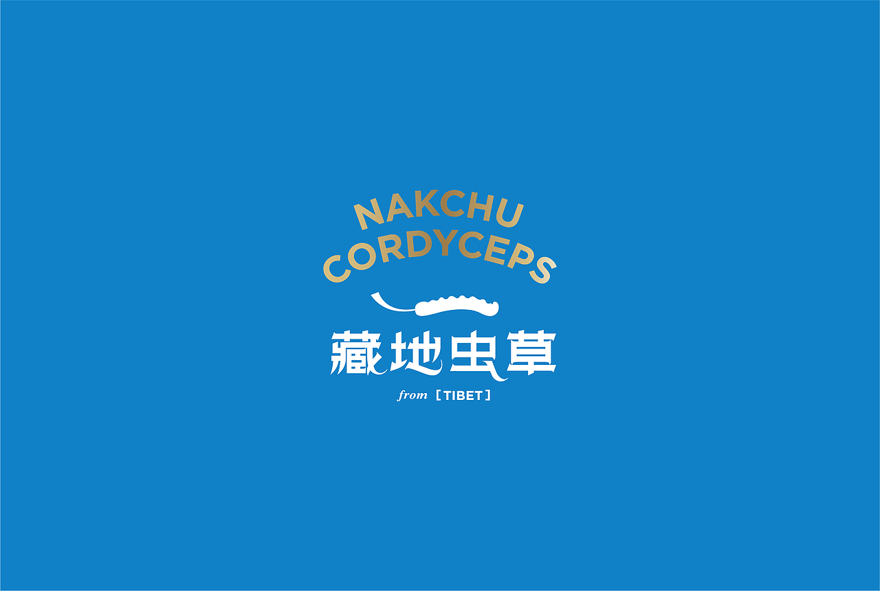 藏地传奇Tibet Cordyceps - 虫草品牌VI设计&包装设计（图ZMzI4MDE3Nzc2） - 包装 - 站酷设计师亿电设eDeSIGN原创素材 - 站酷ZCOOL