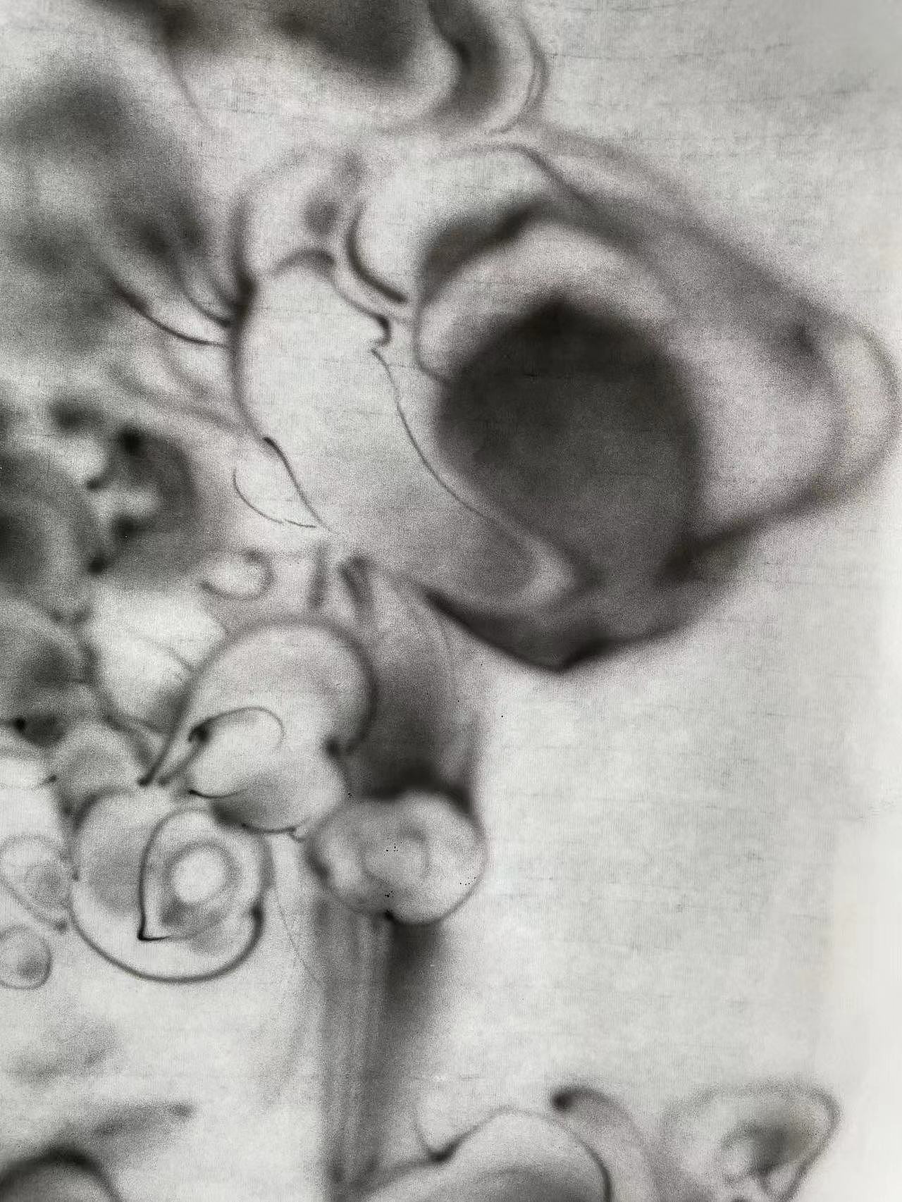 培养皿系列·二