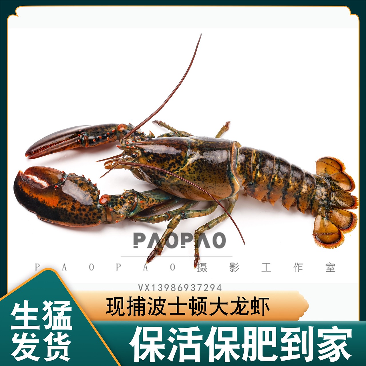 淄博小饼图片,详情,视频全套高清素材可商用