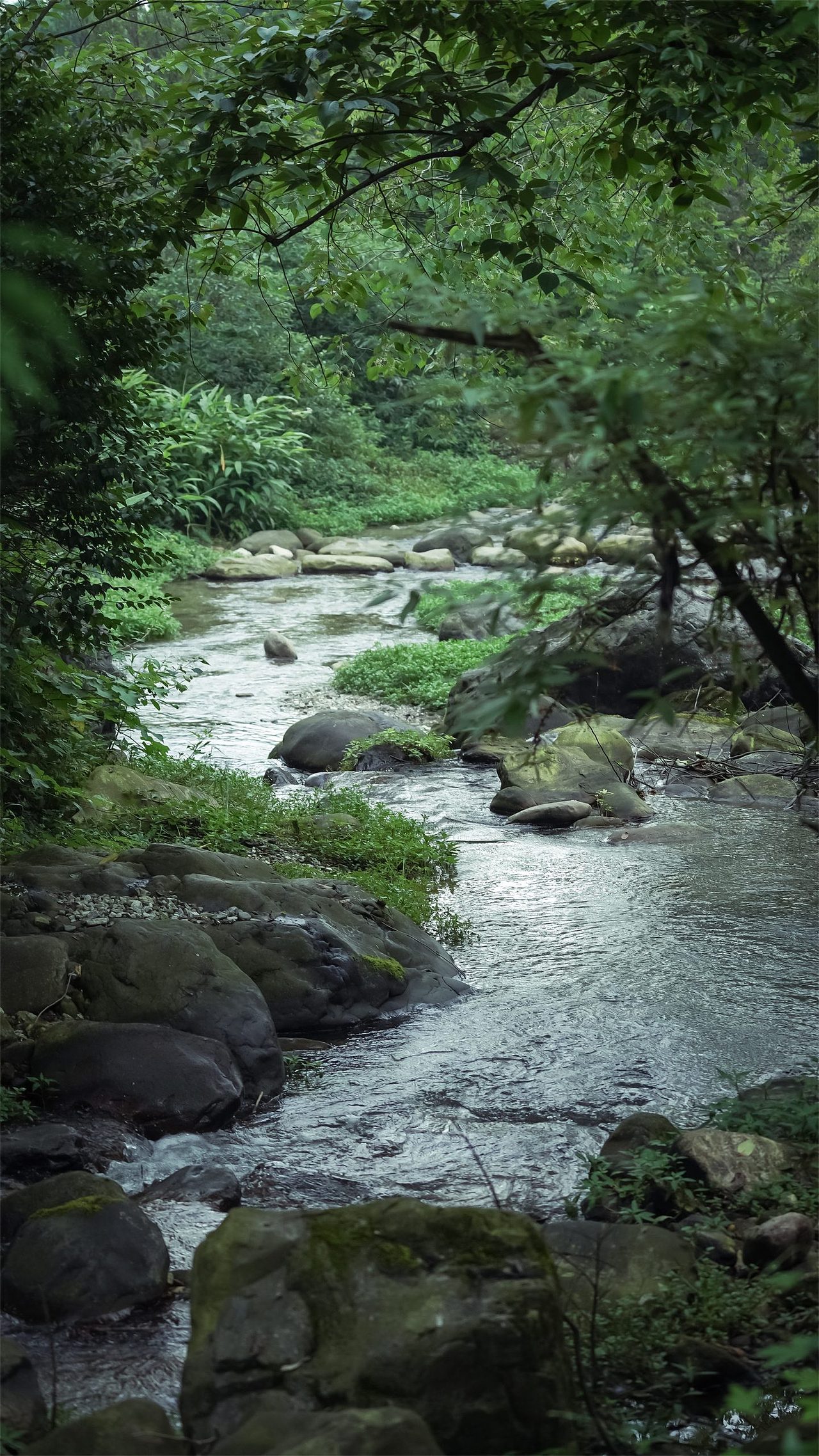 【案例分享】峨眉·高桥小镇