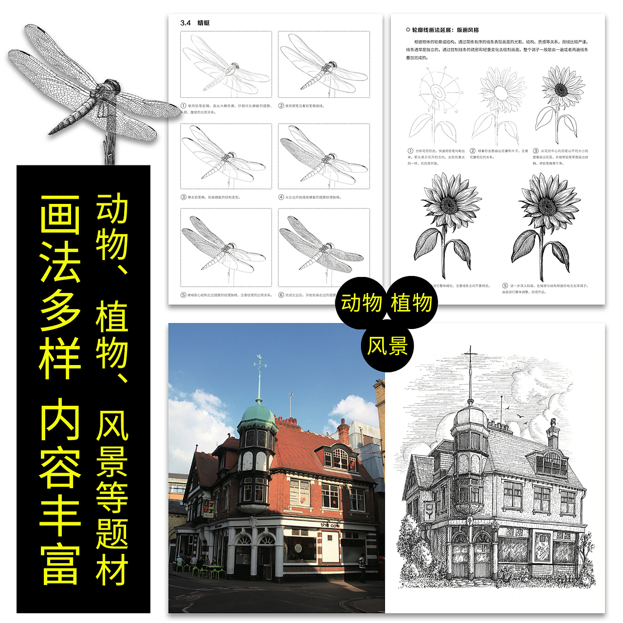 《钢笔画真好学》小钢笔,大潜能!(图ZMzAwNzkzNjEy) - 绘本 - 站酷设计师欧阳鹏杰_OY原创素材 - 站酷ZCOOL