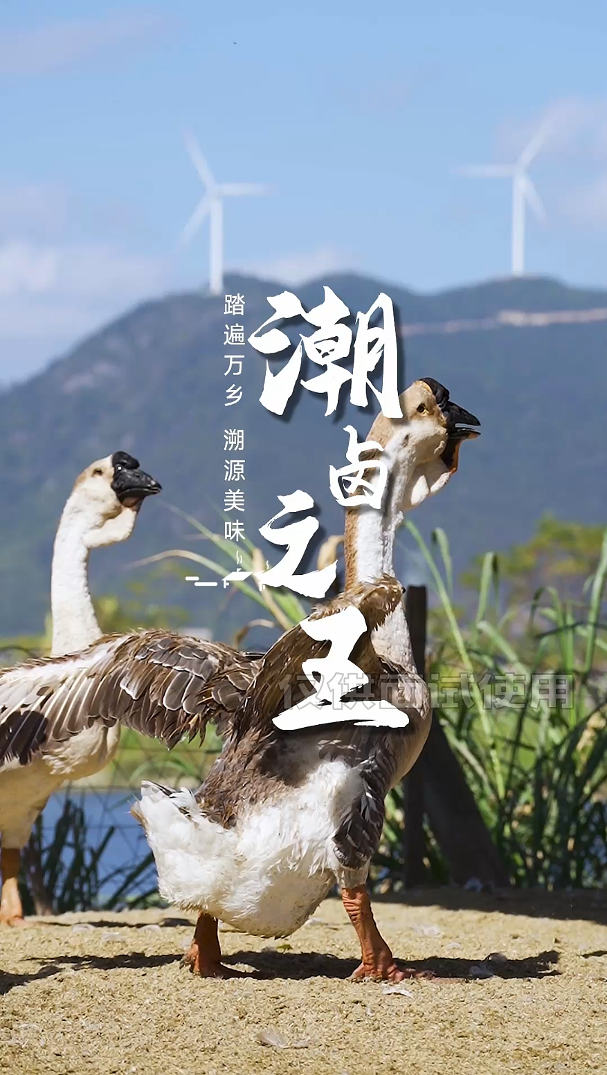 美食溯源-汕头卤鹅