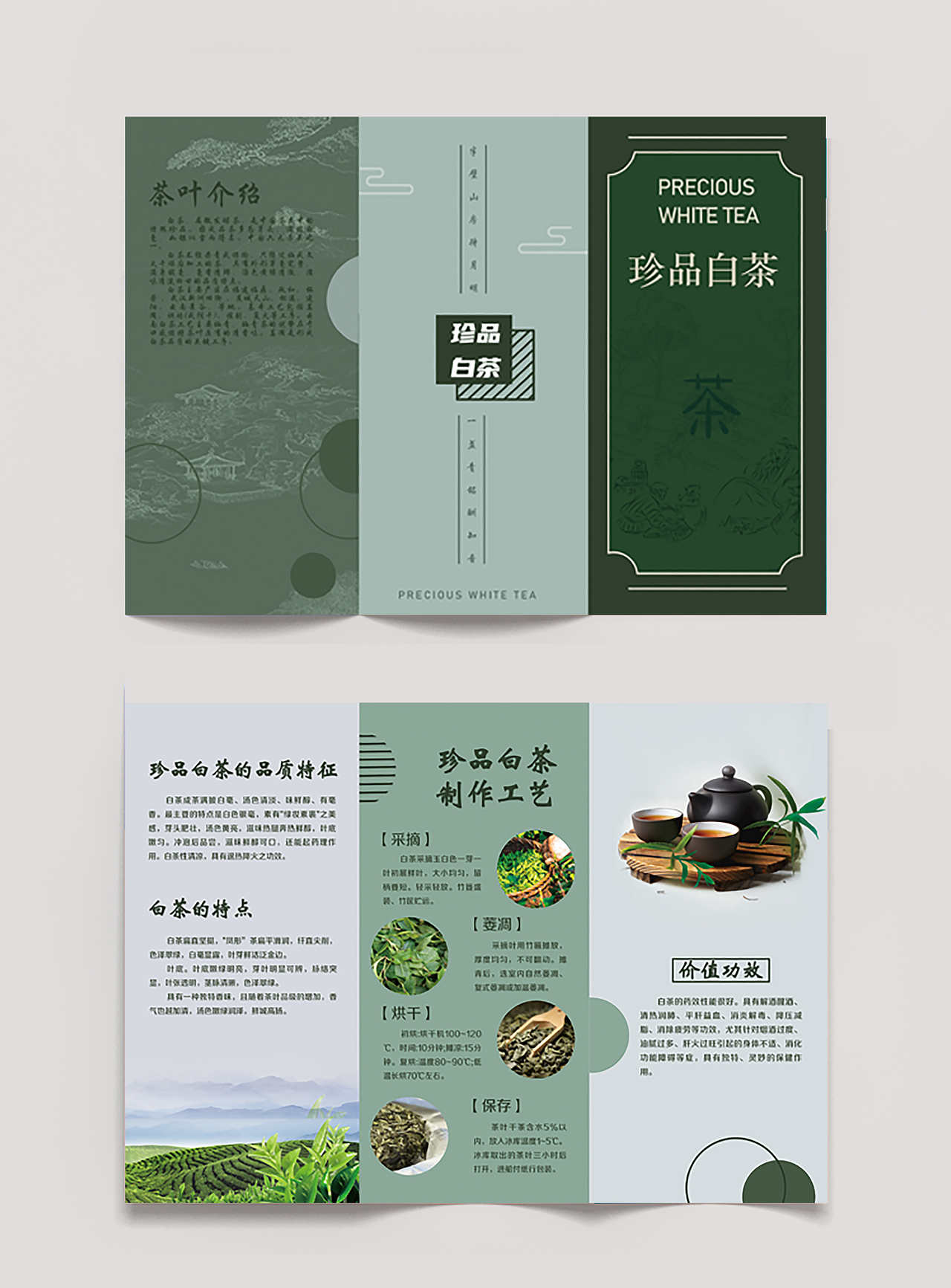 白茶三折页