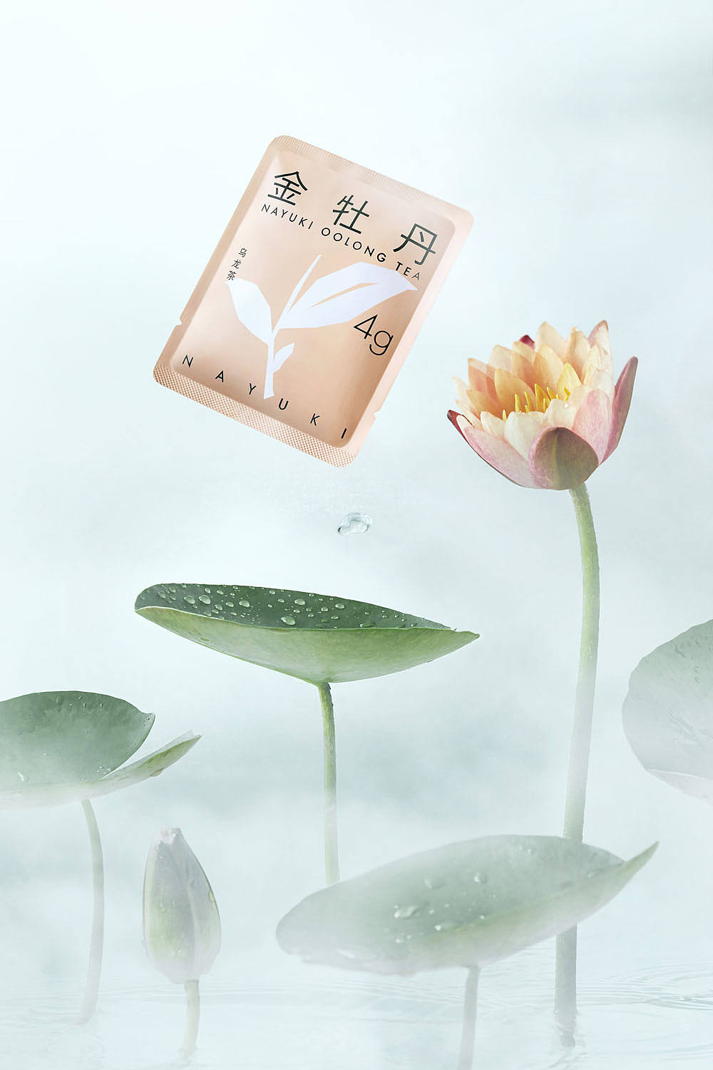 袋泡茶（图ZMzA2NDU2MDc2） - 产品摄影 - 站酷设计师不见视觉原创素材 - 站酷ZCOOL