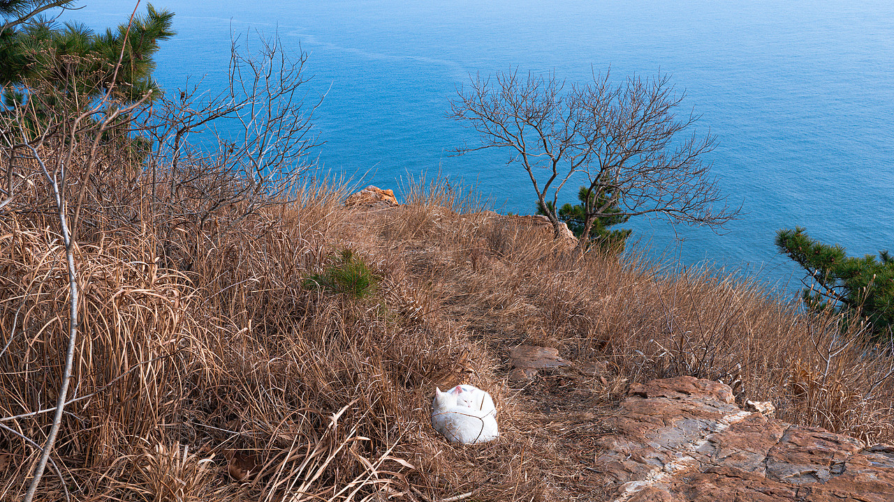 万物有灵×崖边的猫