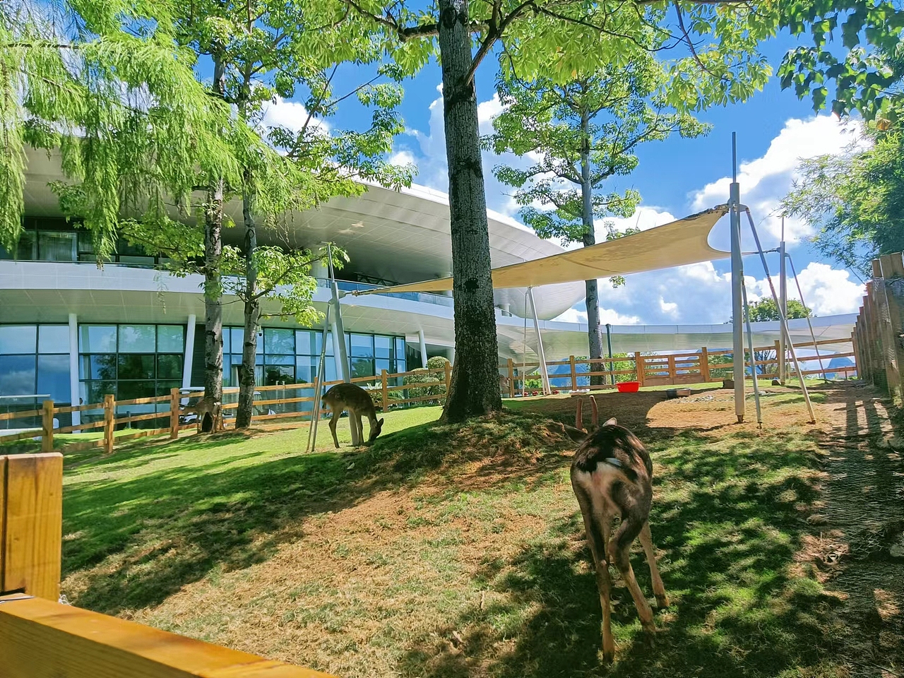 桂海晴岚的女孩