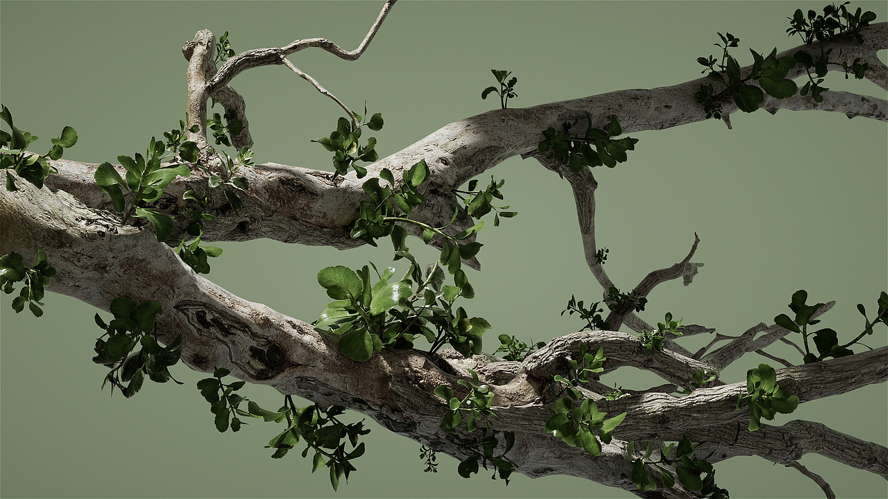 barbaric growth/野蛮生长 音箱三维动画（图ZMzI3MjY1Mjcy） - 短片 - 站酷设计师央央Spring原创素材 - 站酷ZCOOL