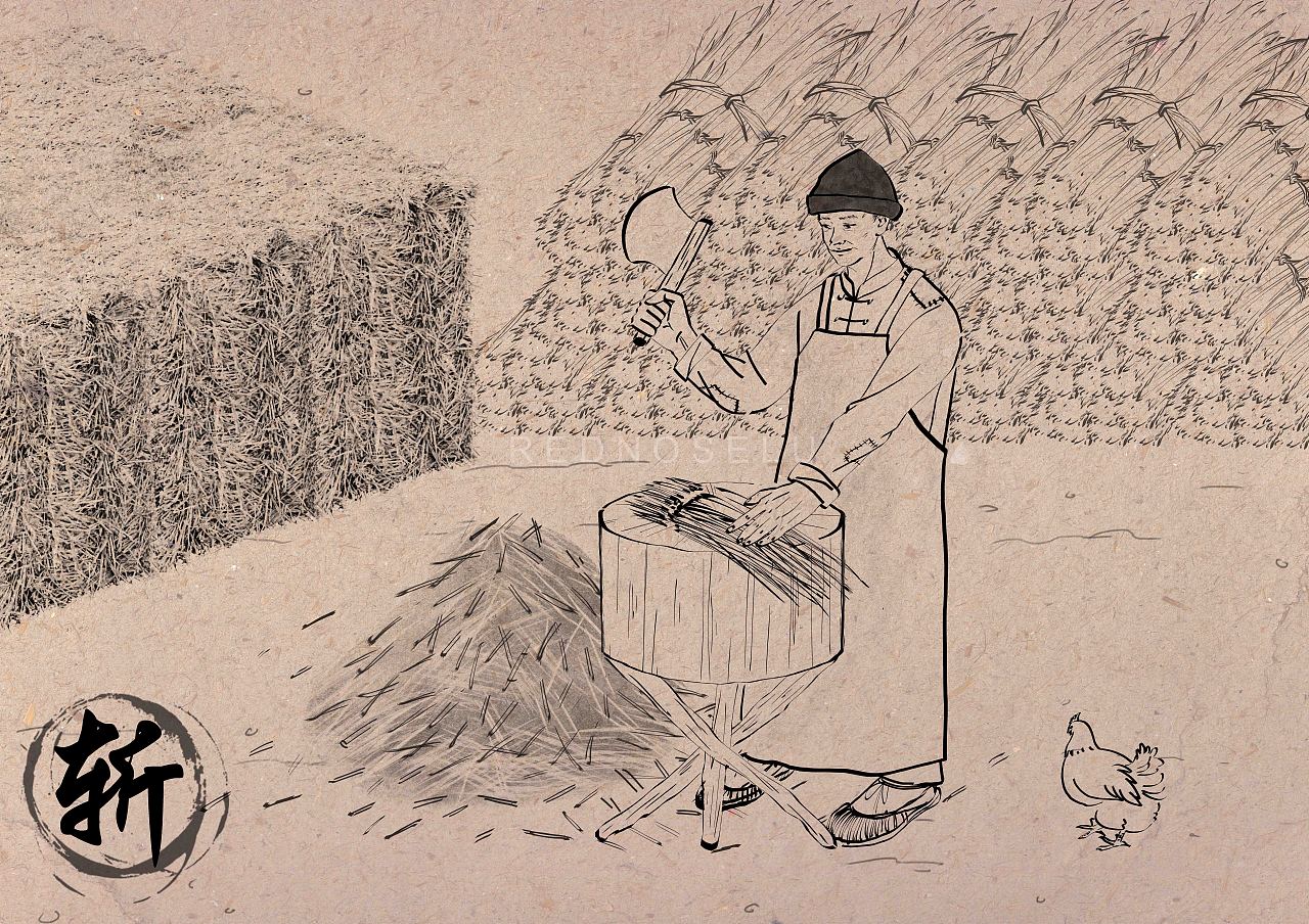 南池村村史馆合作项目—传统文化大草纸制作过程插画(图ZMzA3ODY5Mzg0) - 商业插画 - 站酷设计师晒太阳的鹿咂原创素材 - 站酷ZCOOL