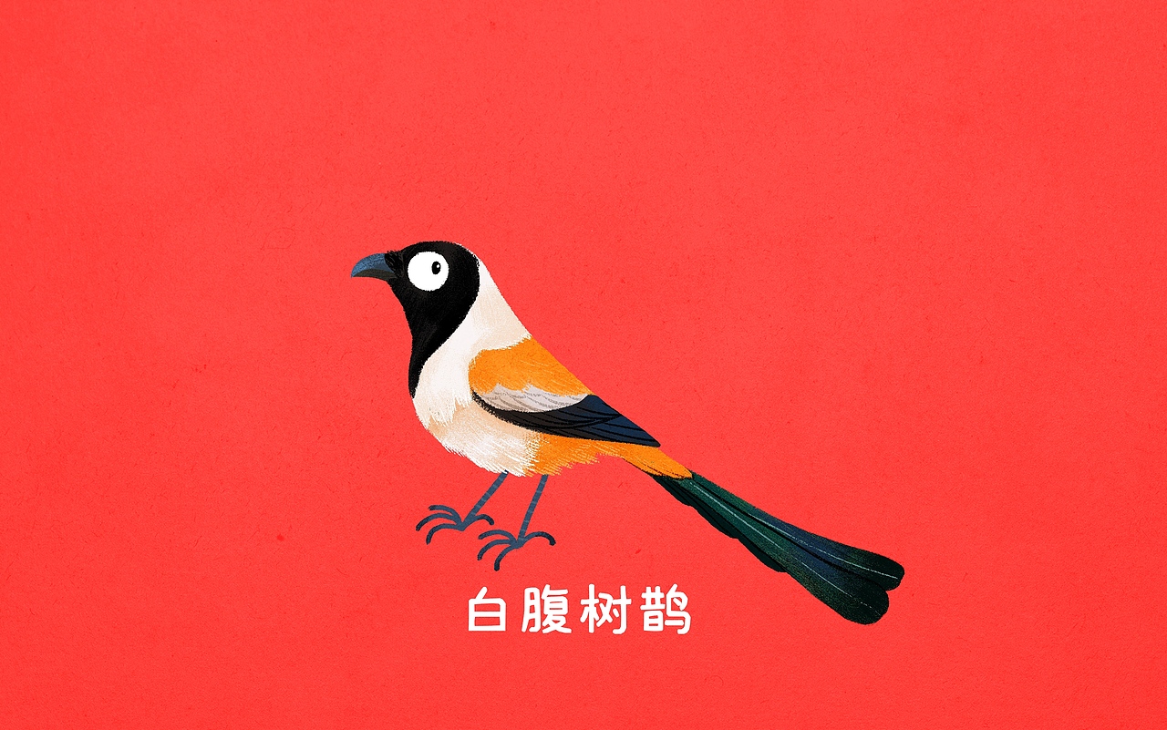 几种不同的“鹊”