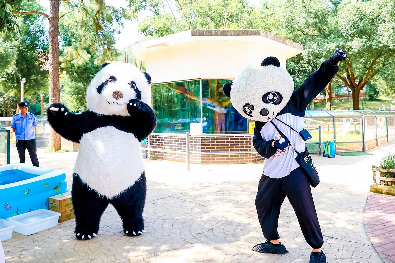 车子外包装这样设计,回头率超高的叭