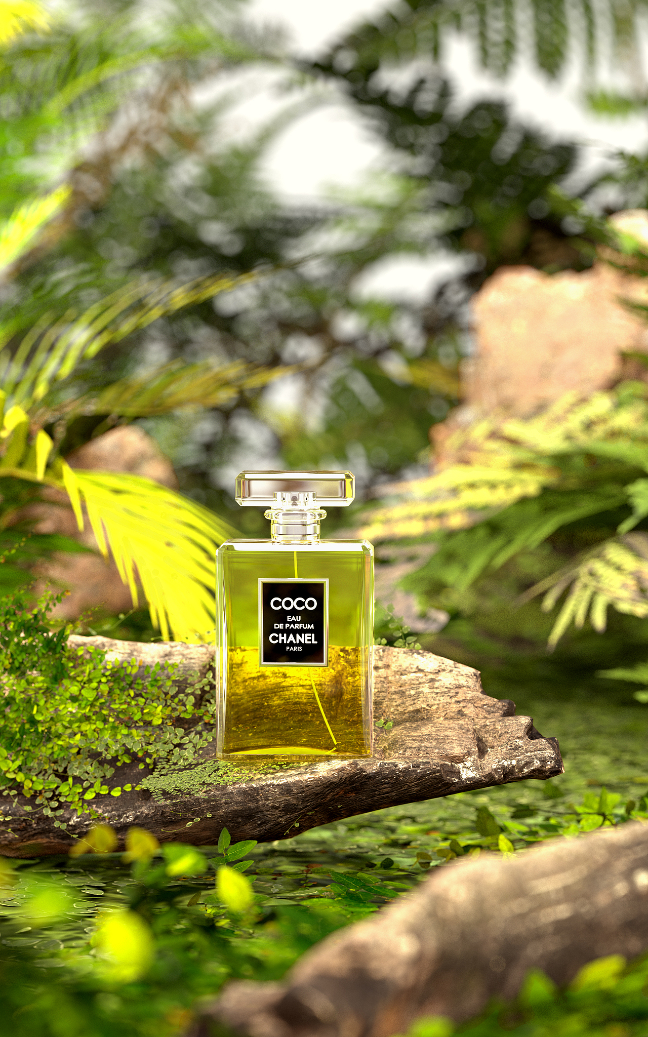 暑期力方培训作品栏目