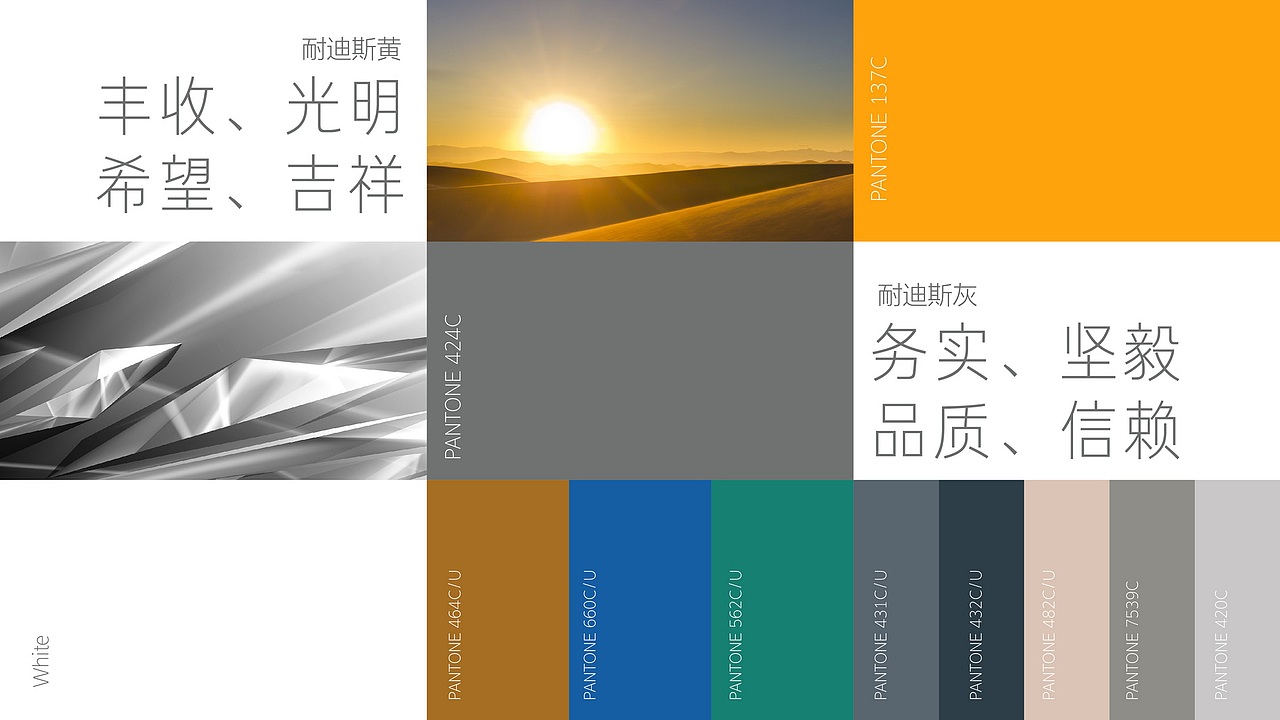 广东耐迪化工耐迪斯®品牌升级全案