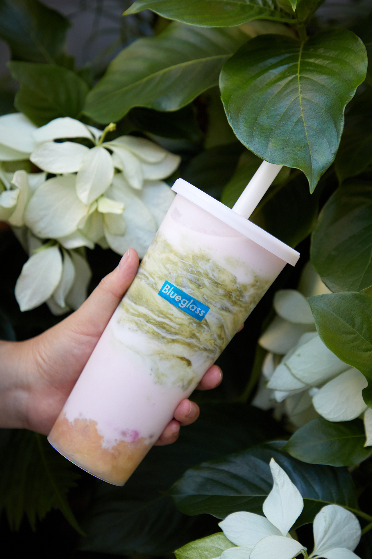 饮品|燕之屋&Blueglass联名饮品、燕窝和酸奶