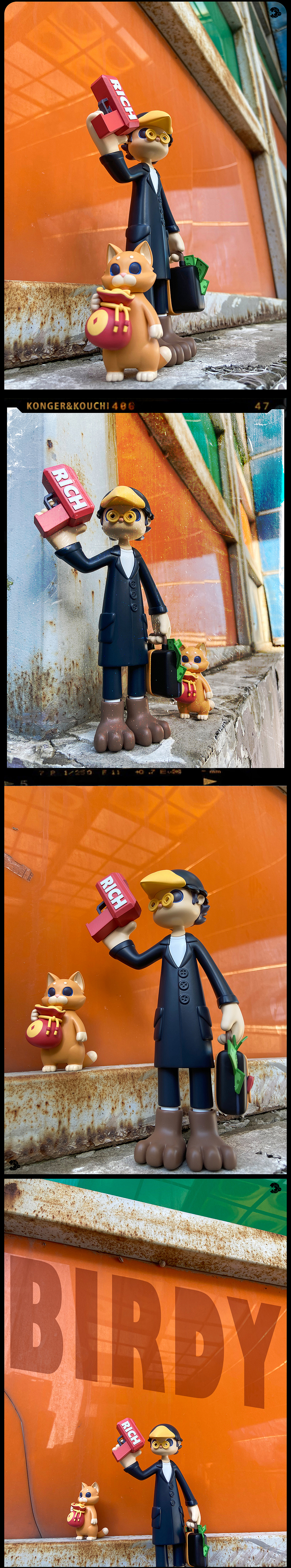 Birdy系列大体--RICH