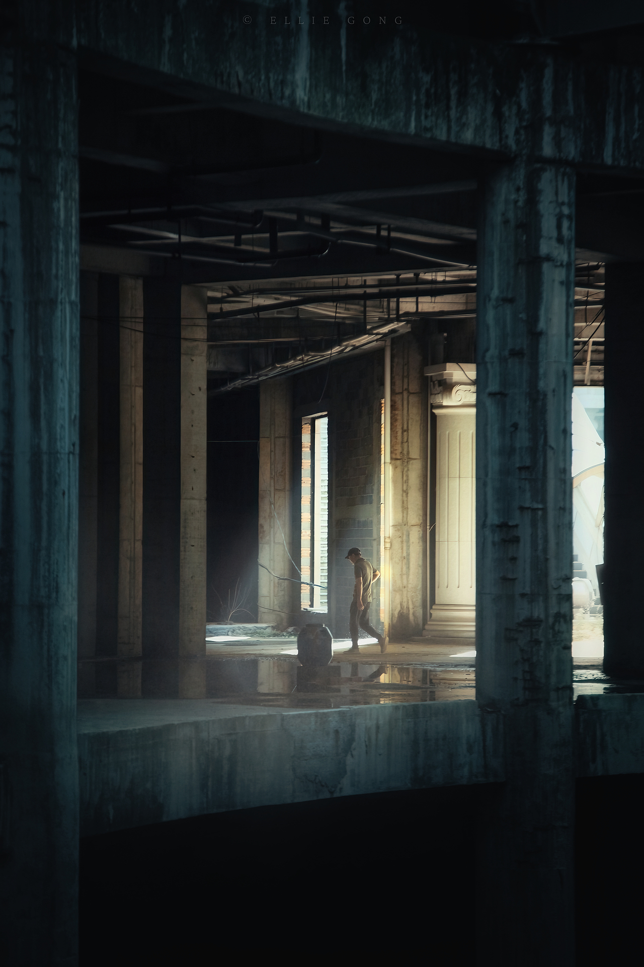 The Last of Us