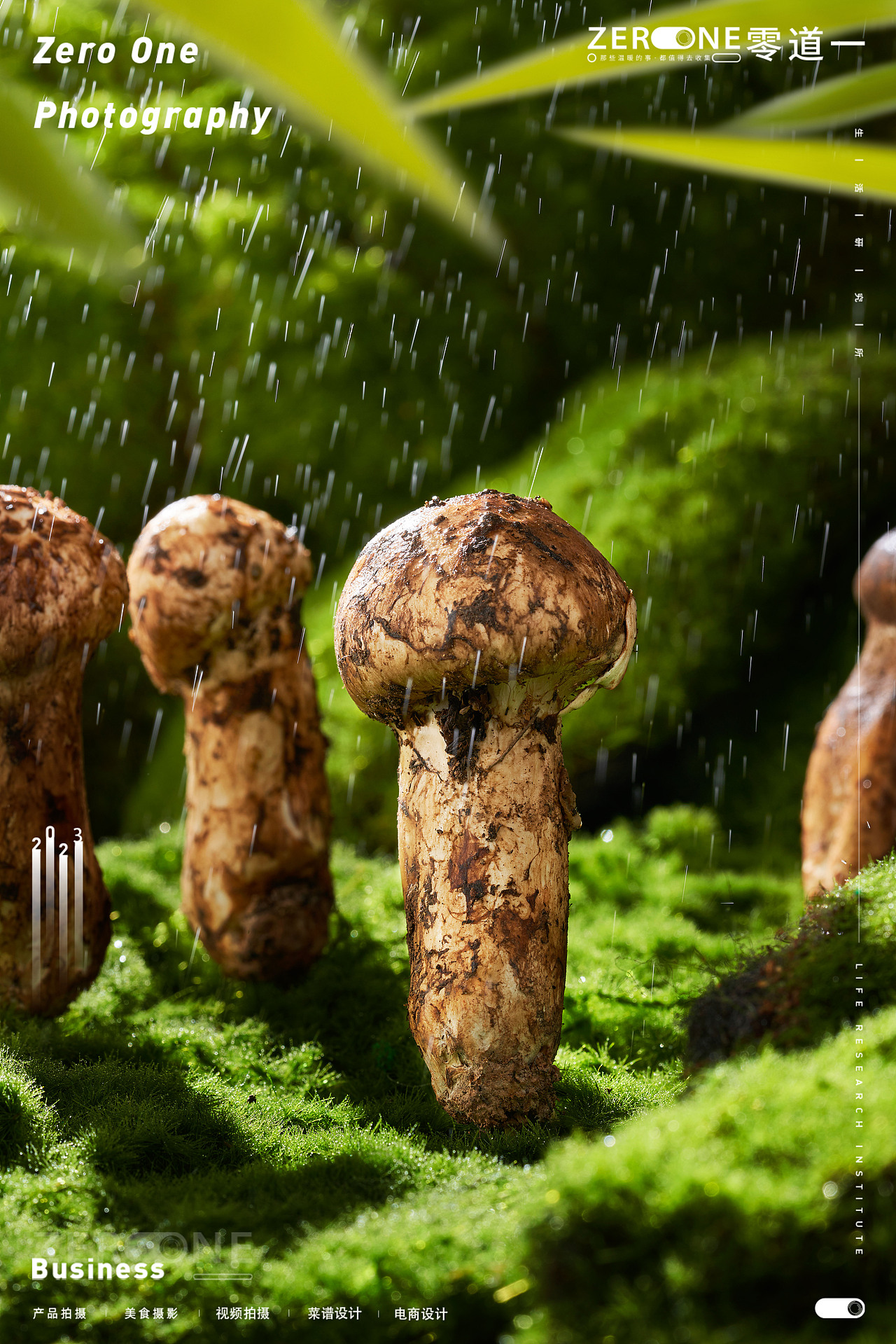 美食摄影丨陶陶居 X 零道一  经典菜品拍摄