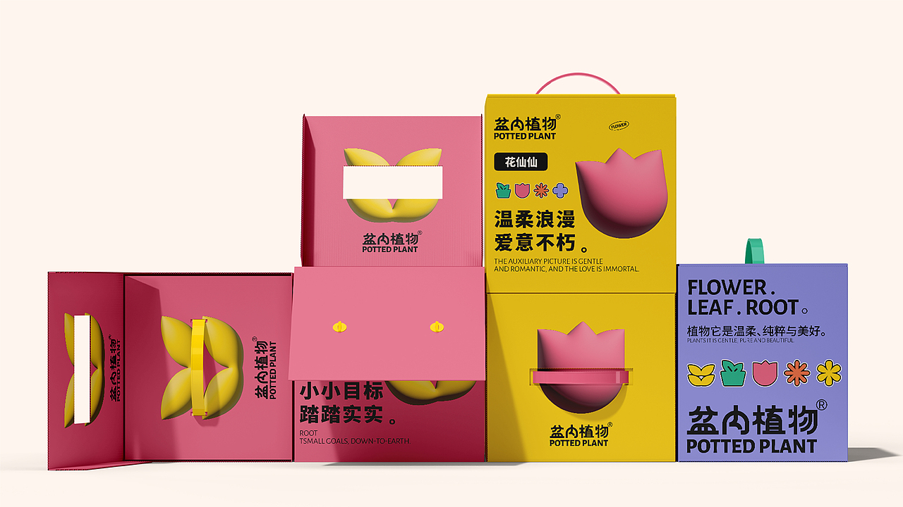 植物品牌| 盆内植物 植物它是温柔、纯粹与美好。