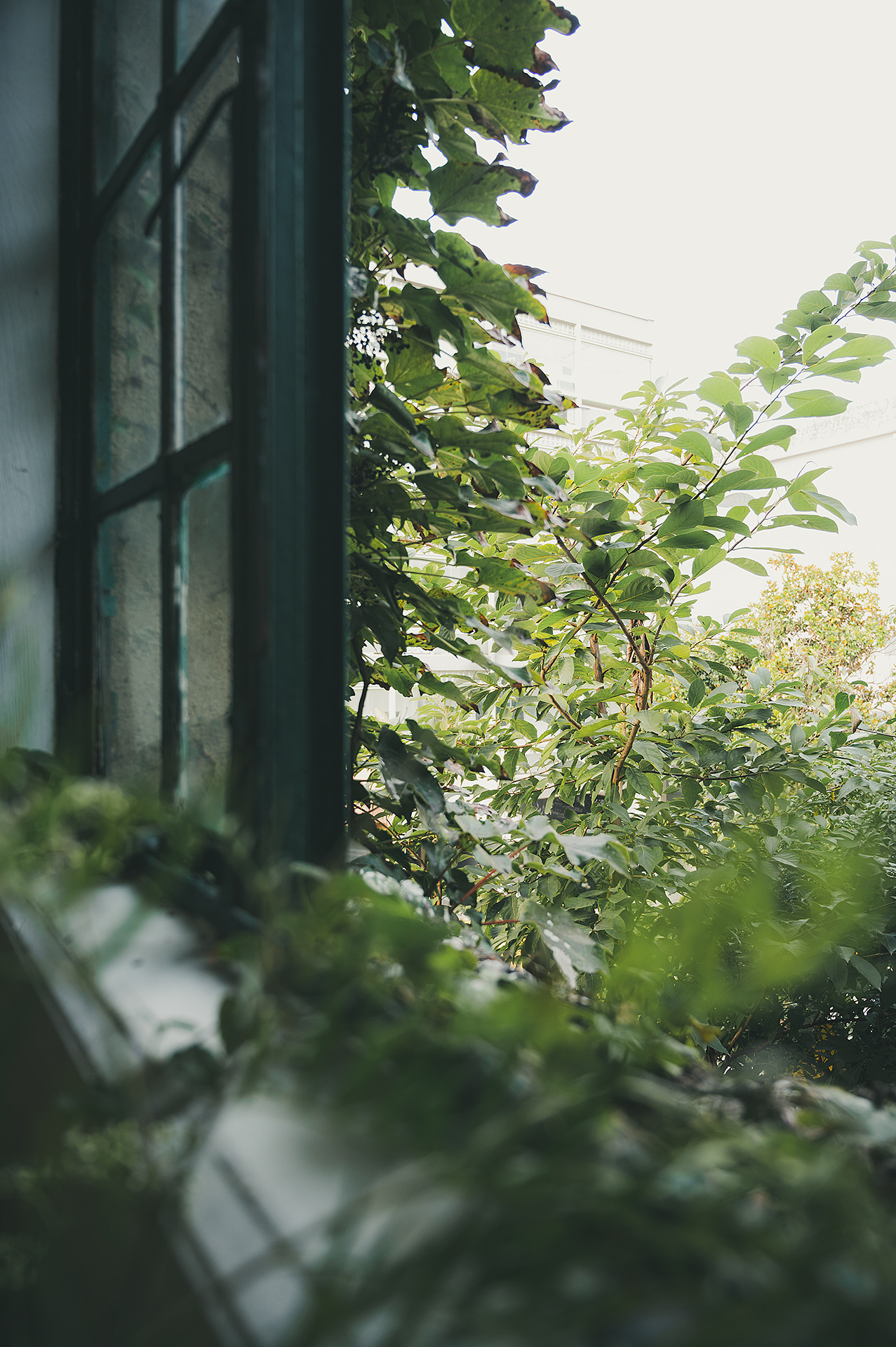 情绪静物×失魂态×Alicia