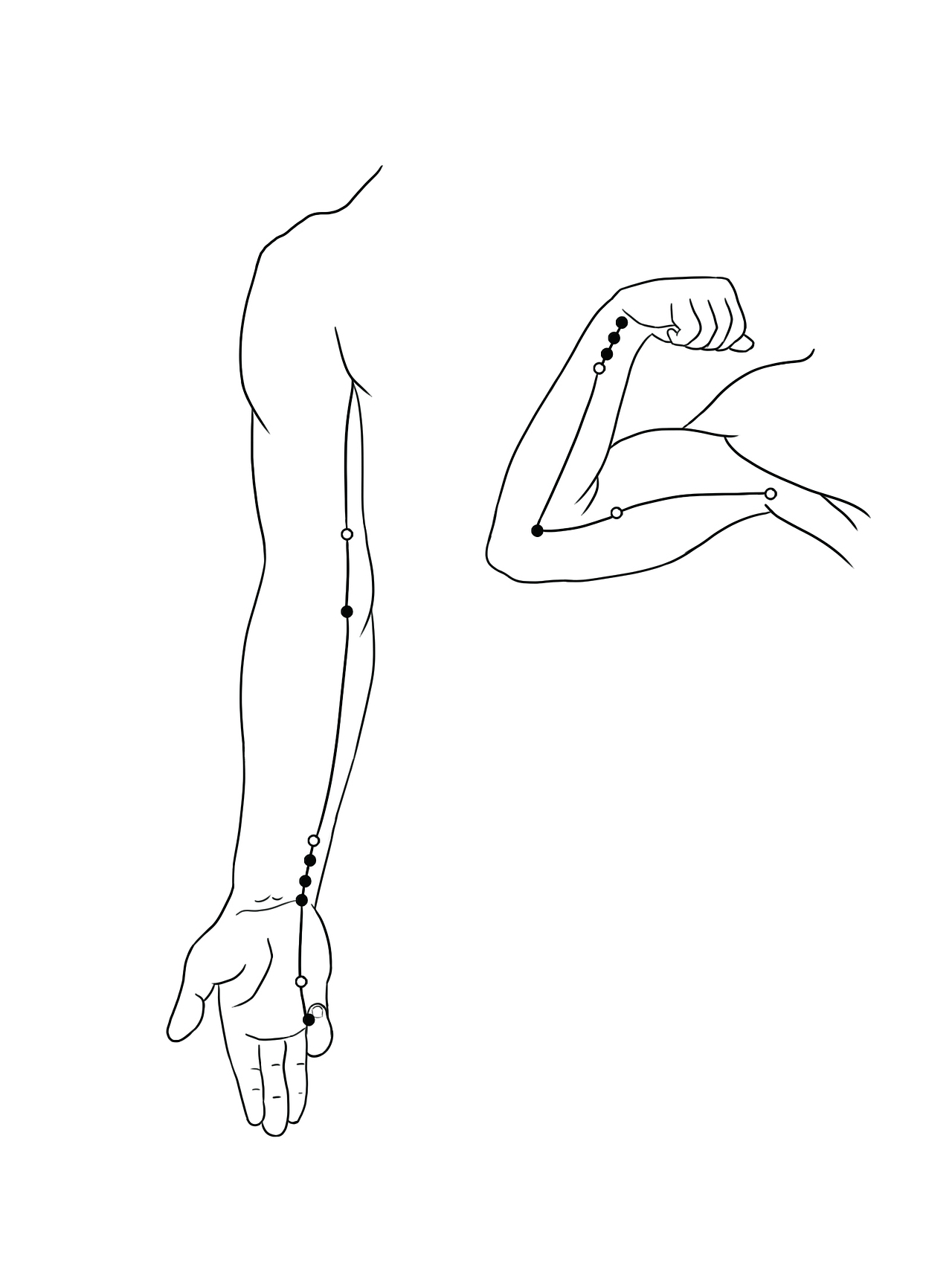 经络腧穴（图ZMzQ5NTYyNzI0） - 商业插画 - 站酷设计师画画的周周原创素材 - 站酷ZCOOL