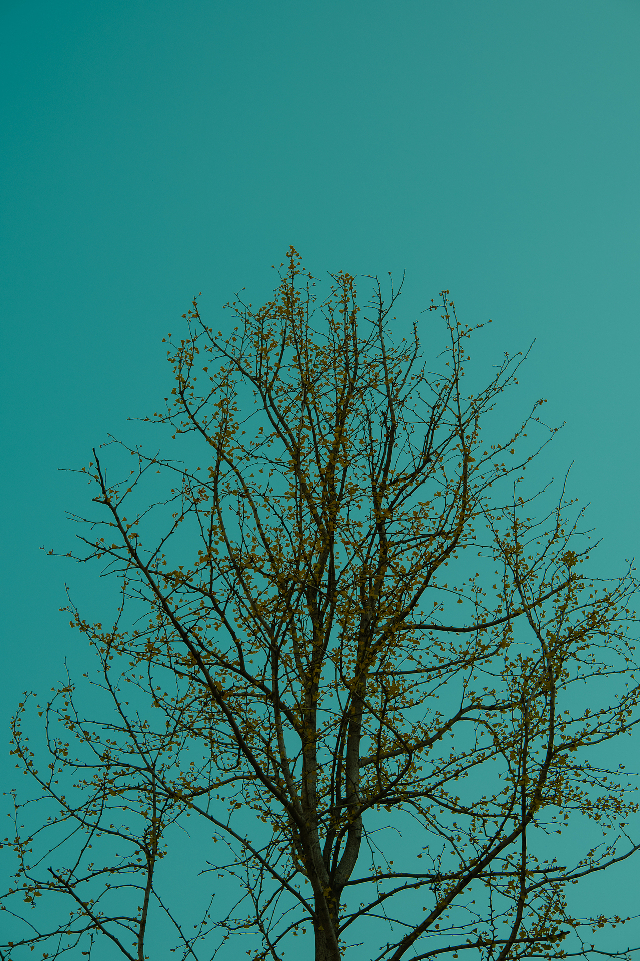 疫情封控在家的日子