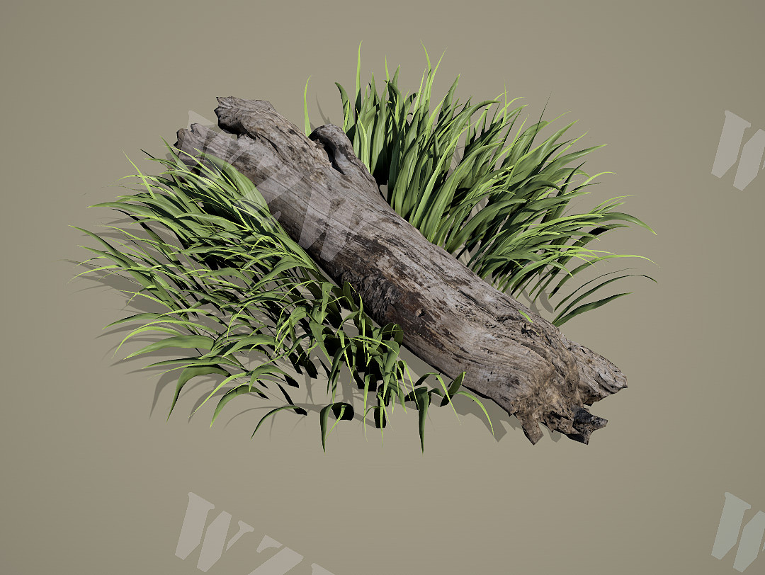 Grass-枯木段下小草