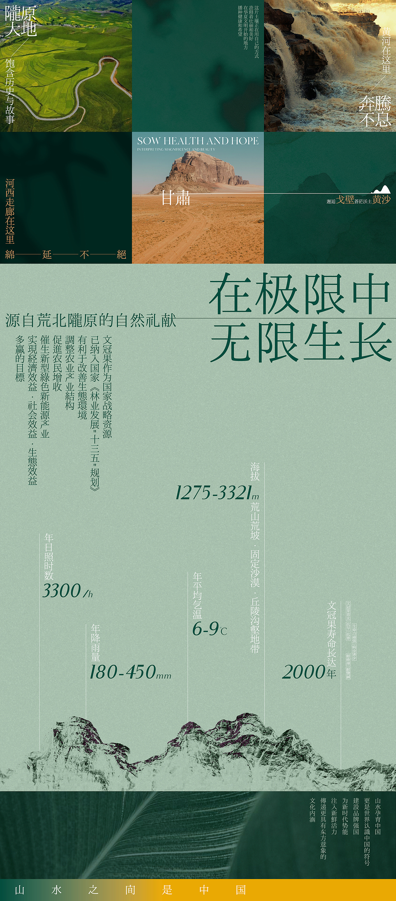 甘肃忠沃 大健康品牌设计 产品包装设计 茶叶礼盒设计(图ZMzYyOTQzODc2) - 包装 - 站酷设计师hellolinkdesign原创素材 - 站酷ZCOOL
