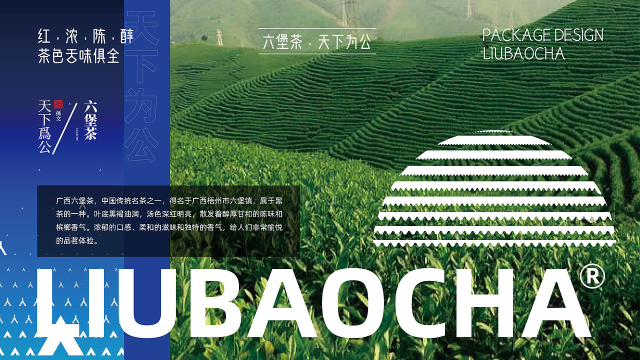 包装 | 六堡茶设计