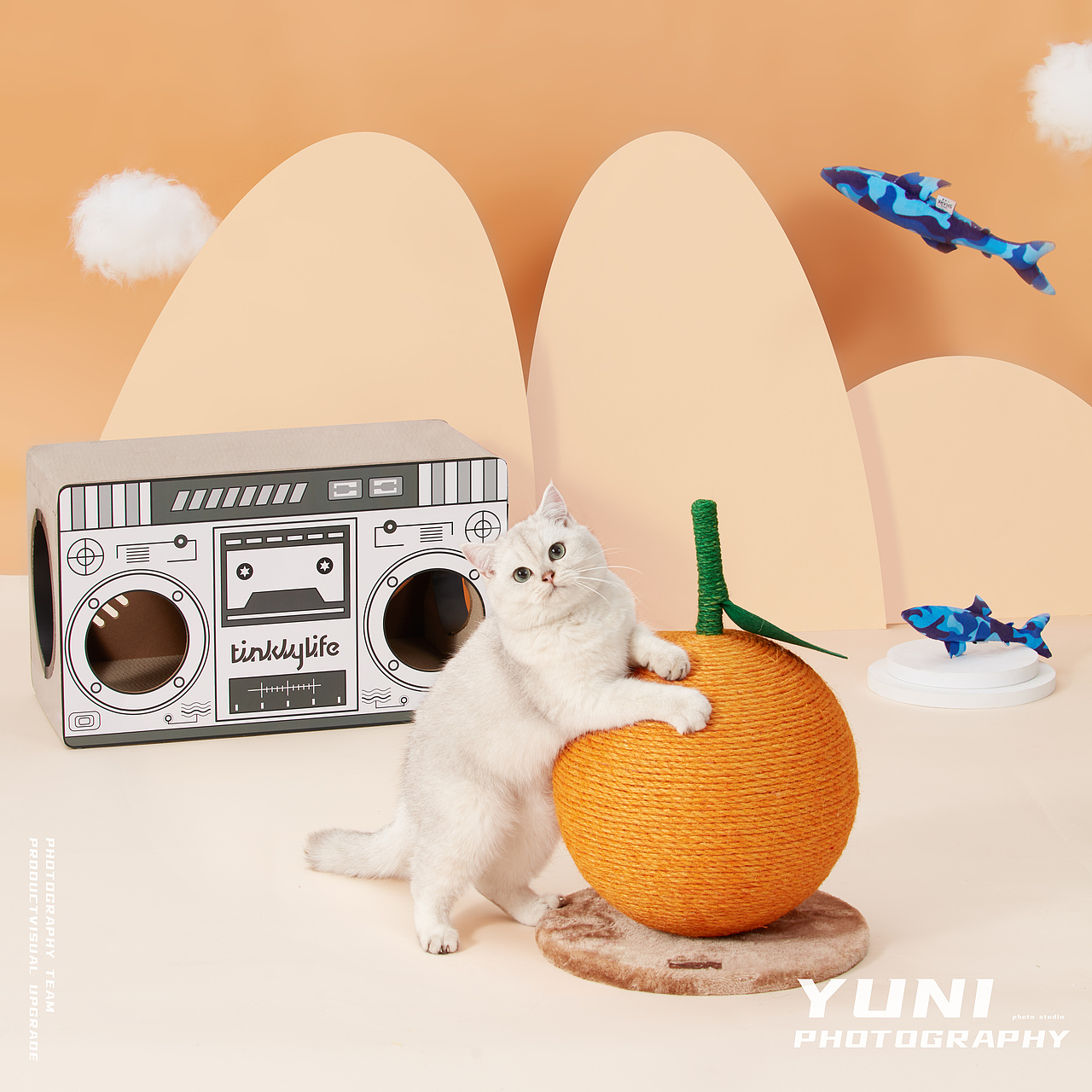 天猫.猫享自营 ✖ YuNi  宠物频道合集