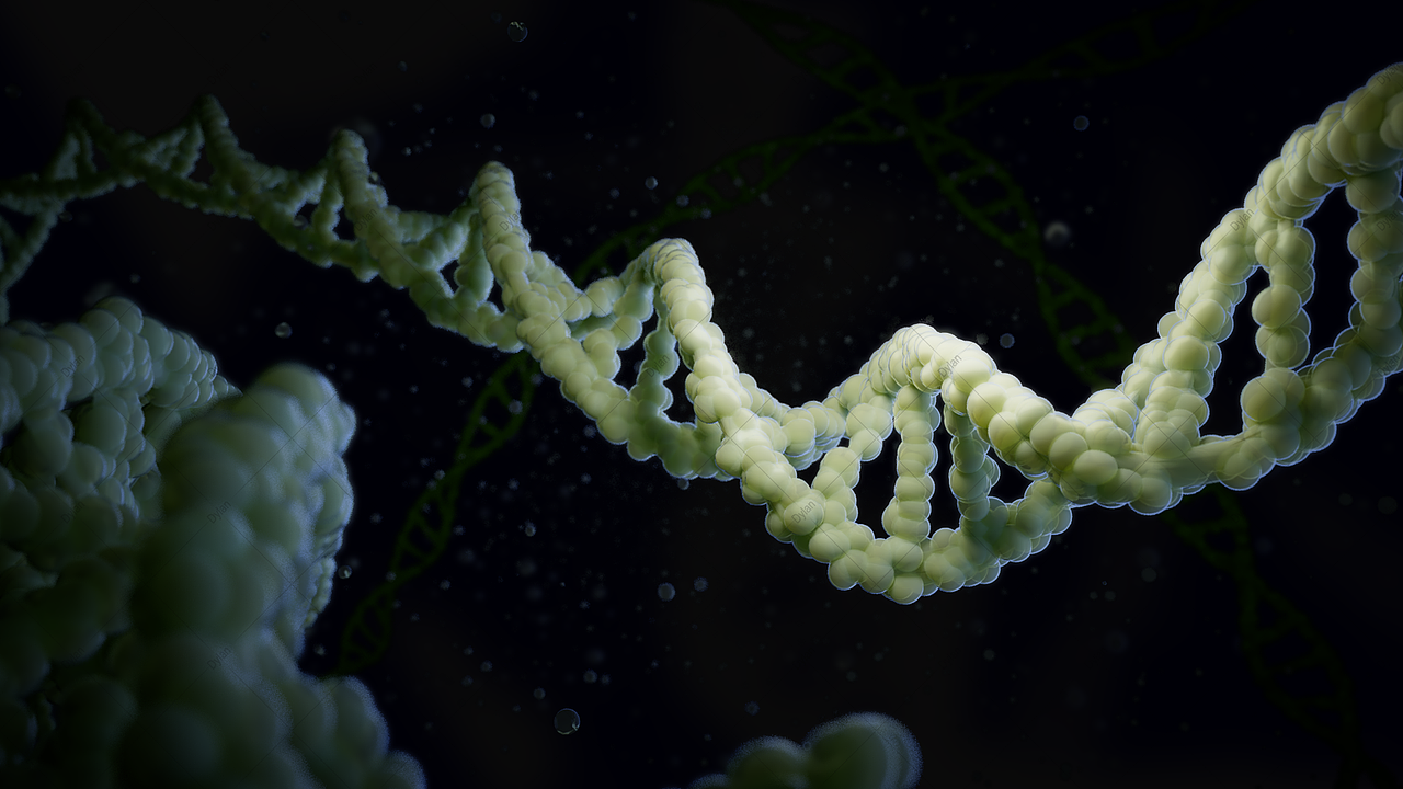 科研绘图-法医物证鉴定-主要技术-DNA定量（图ZMzY2NzY4MjQ0） - 人物/生物 - 站酷设计师DylanNG原创素材 - 站酷ZCOOL