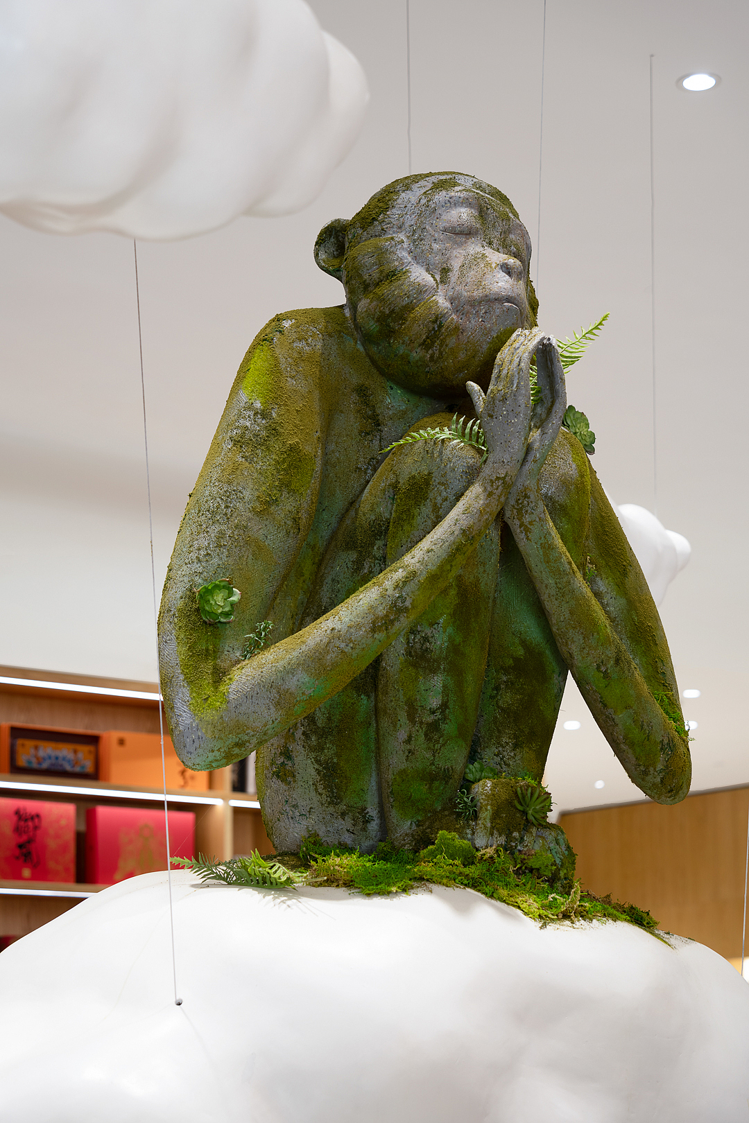 雨林古树茶展厅（图ZMzU3OTI0NDM2） - 环境/建筑摄影 - 站酷设计师摄影师康超凡原创素材 - 站酷ZCOOL