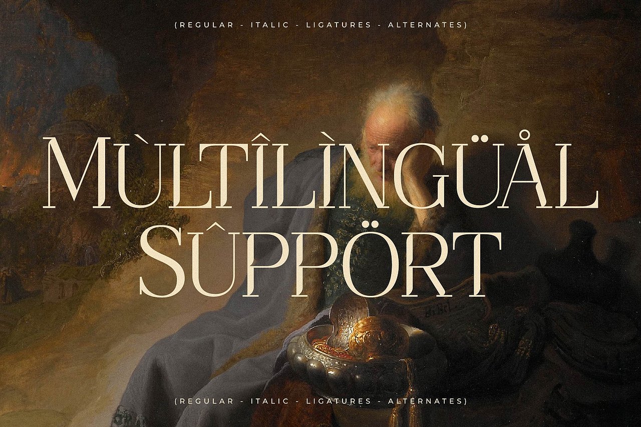 现代经典宫廷奢华品牌logo包装封面标题衬线英文字体