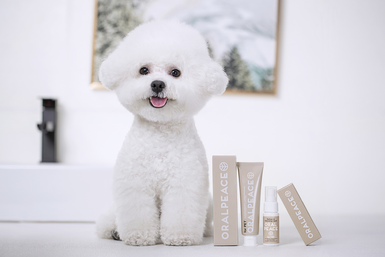 宠物牙膏牙刷拍摄丨宠物产品拍摄丨宠物用品摄影