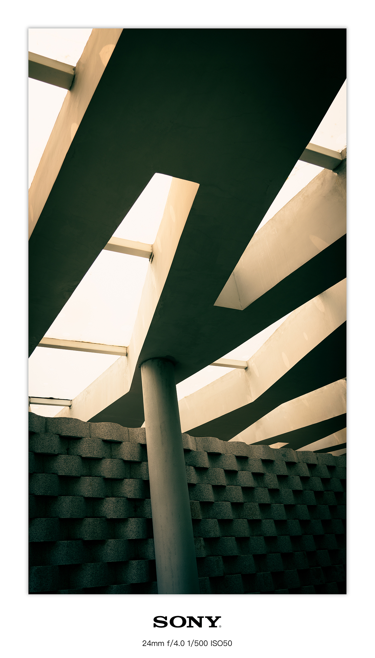 拍点什么好呢~（图ZMzY0NDQ5NzEy） - 其他摄影 - 站酷设计师啊啵痴嘚饿浮鸽原创素材 - 站酷ZCOOL