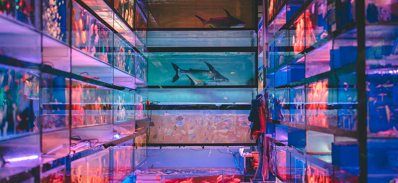 成都青石桥 市井中的亚特兰蒂斯（图ZMzEzMzEwMDk2） - 人文/纪实摄影 - 站酷设计师zihuatanejo1997原创素材 - 站酷ZCOOL