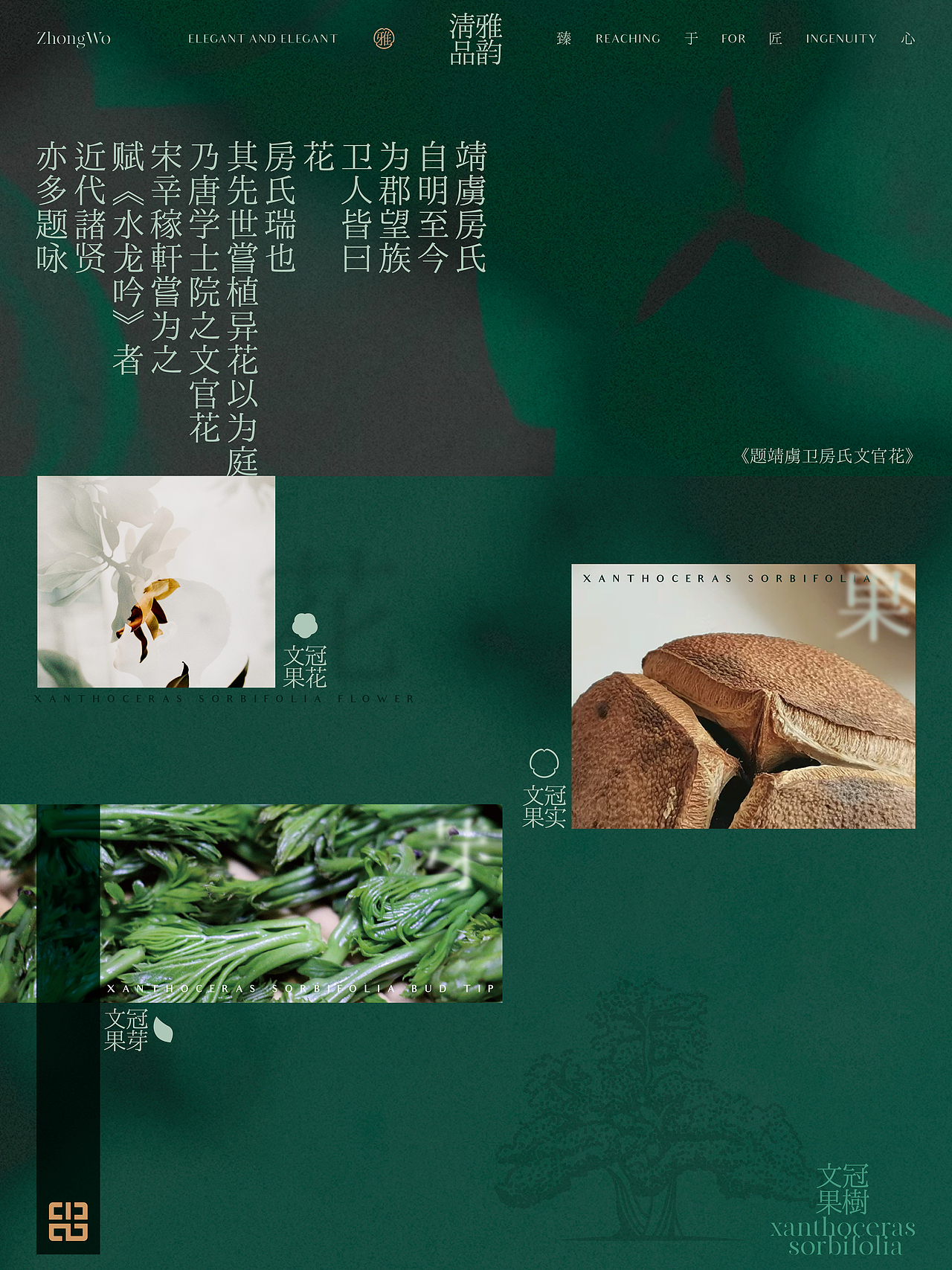 甘肃忠沃 大健康品牌设计 产品包装设计 茶叶礼盒设计(图ZMzYyOTQzNTIw) - 包装 - 站酷设计师hellolinkdesign原创素材 - 站酷ZCOOL