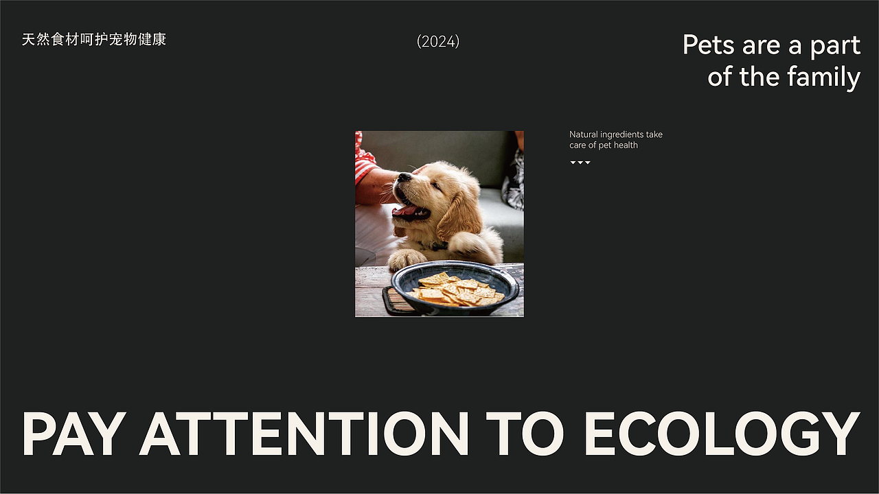 阿金家宠物零食品牌全案设计