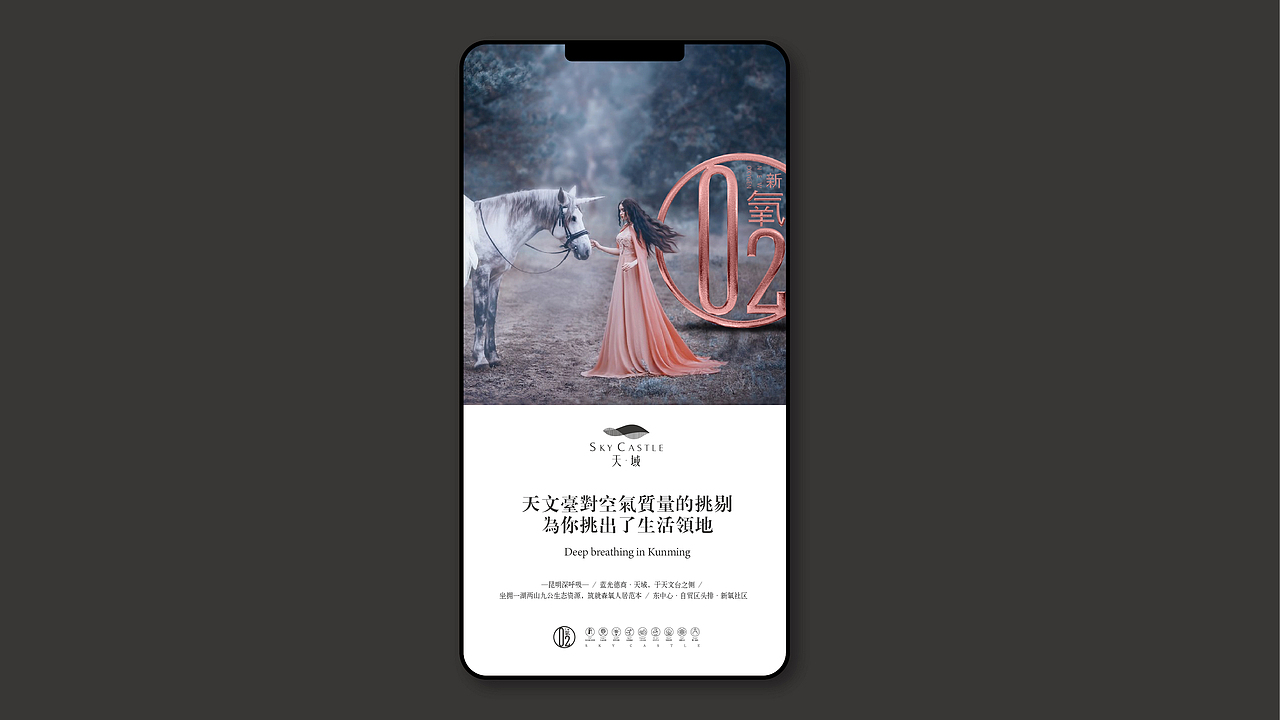 新中式地产品牌识别系统设计（蓝光天域）（图ZMzIzNjg2NDQw） - 品牌 - 站酷设计师汤禹品牌设计原创素材 - 站酷ZCOOL