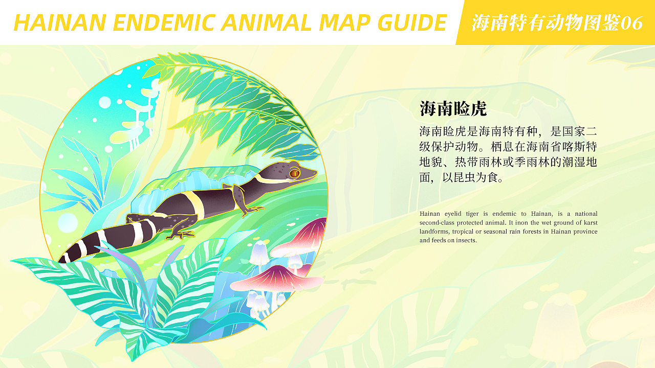 中国风潮流插画丨海南特有动物图鉴